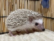 5/9撮影