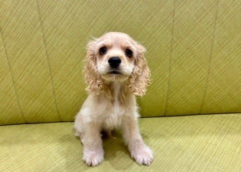 【2025/05/09撮影】カメラ目線いただきました✨