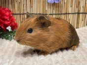 5/9撮影