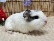 5/9撮影