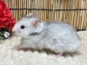 5/9撮影