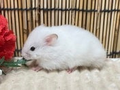 5/9撮影
