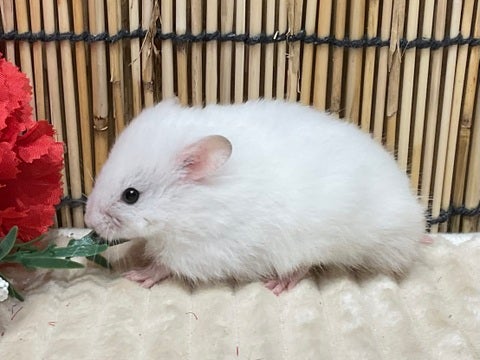 5/9撮影