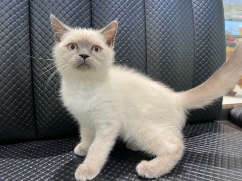5/9撮影♬　会いに来てね🐾