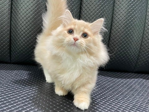 5/9撮影♬　会いに来てね🐾