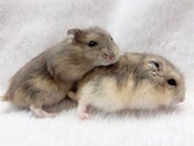 5月9日撮影