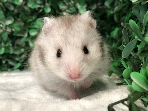 5/9