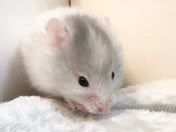 5/9