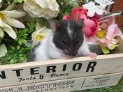 お写真はイメージです