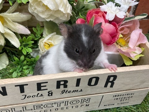 お写真はイメージです