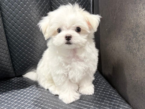 5/10撮影♬　会いに来てね🐾