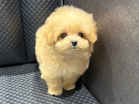 5/10撮影♬　会いに来てね🐾
