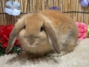 5/9撮影