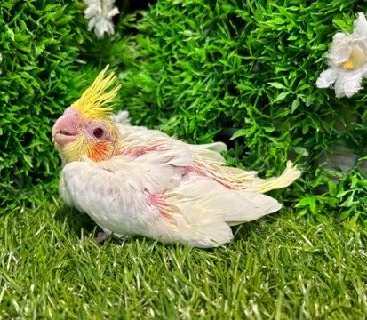 ☆5月10日撮影☆