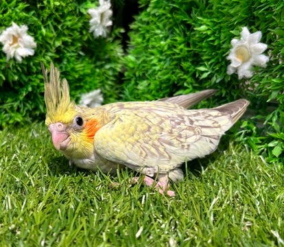☆5月10日撮影☆