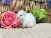 5/10撮影