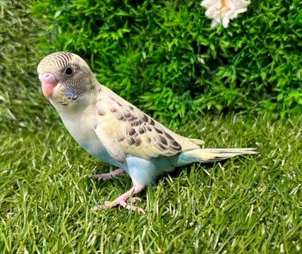 ☆5月10日撮影☆