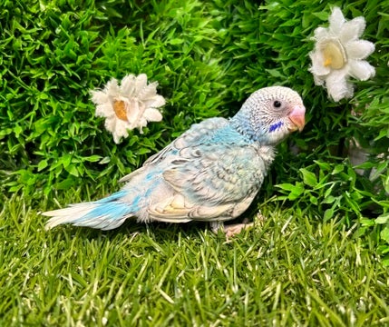 ☆5月10日撮影☆