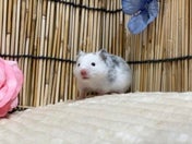 5/10撮影