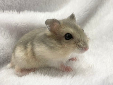 会いに来てください💖