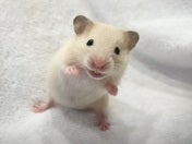 5月10日撮影✨