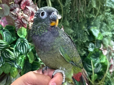 少し怖がりな男の子ですがカキカキ大好きな甘えん坊な一面も🥰