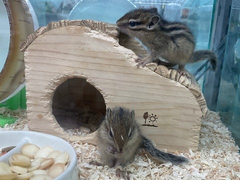 結構自由な感じです(笑)