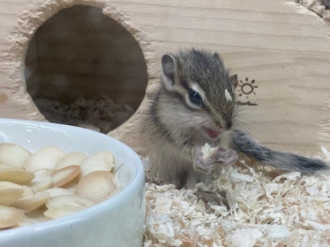 お食事タイム😋