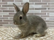 どのように成長するか楽しみですね😊