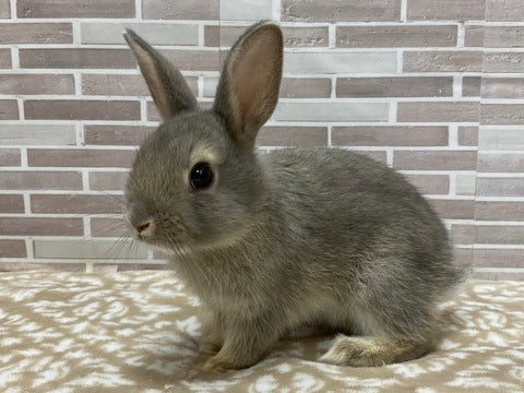 どのように成長するか楽しみですね😊