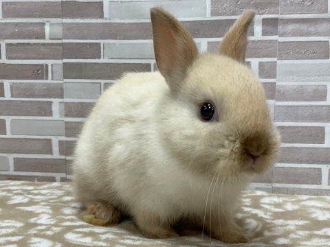 5/10撮影