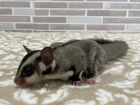 5/10撮影