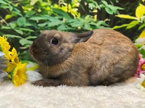 2025年5月4日撮影