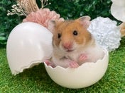 5／10撮影