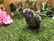 【5月10日撮影】