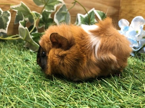 【5月10日撮影】
