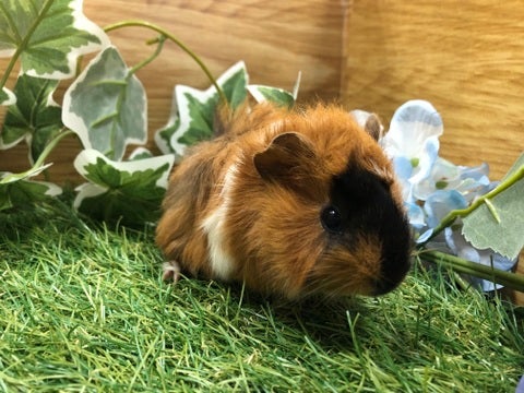 【5月10日撮影】