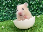 5／10撮影