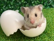 5／10撮影