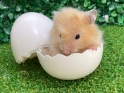 5／10撮影