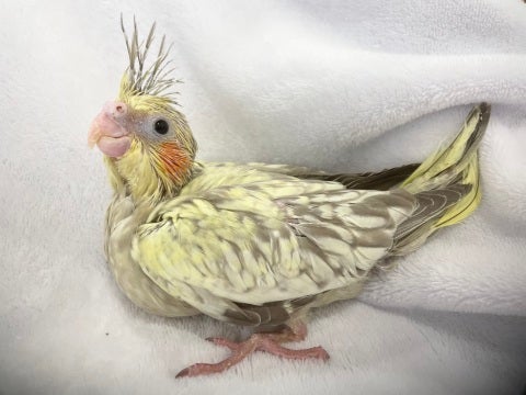 とってもいい子ちゃんです💖