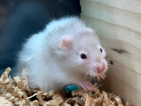 ※写真はイメージになります🙇‍♂️