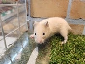 5/11撮影
