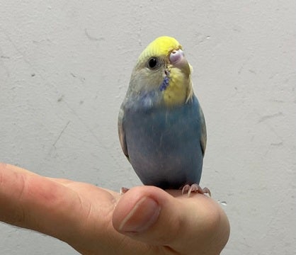 🧡💛🧡💛ご来店お待ちしております💛🧡💛🧡