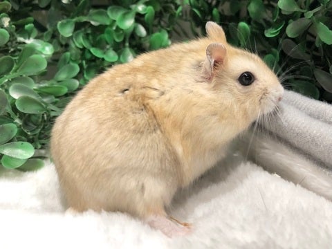 んー？