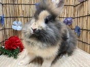 5/12撮影