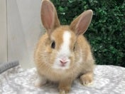 綺麗なお顔立ちのミニちゃん🤍5/1