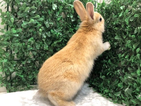 くんくん…気になる…
