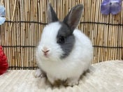 5/12撮影