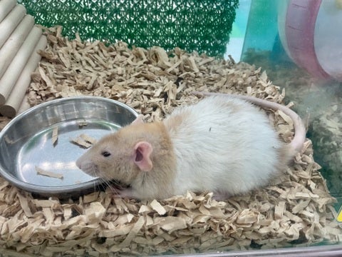 眠たそう💤